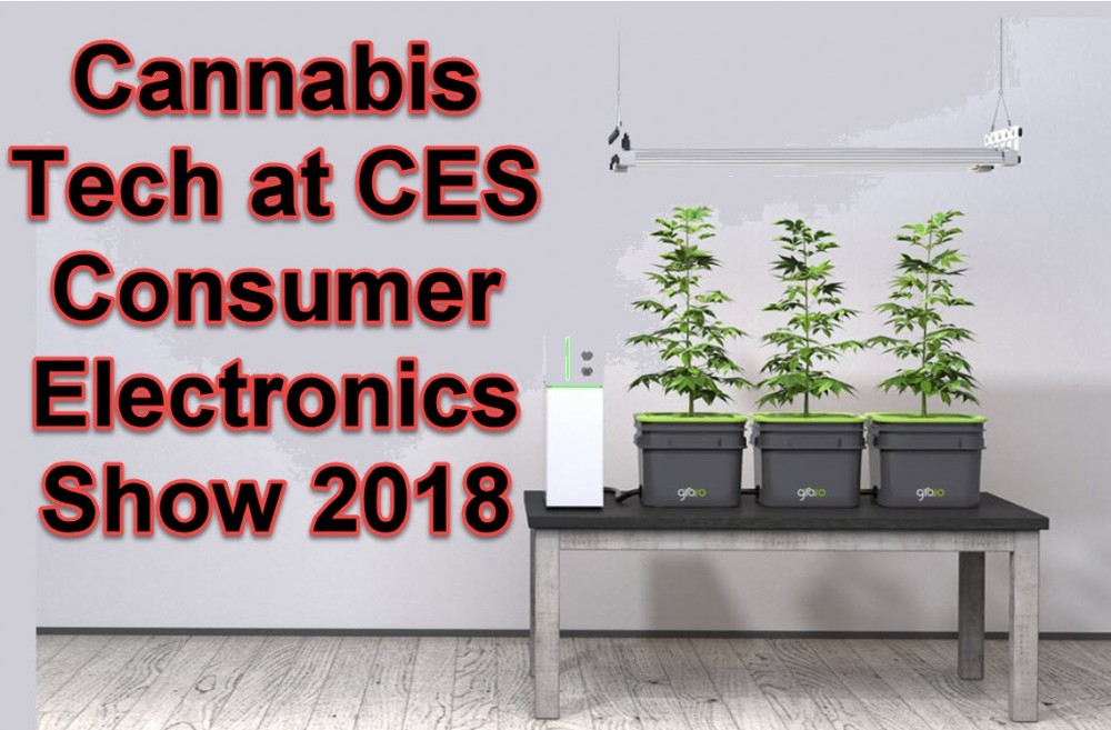 CANNABIS TECH AT CES