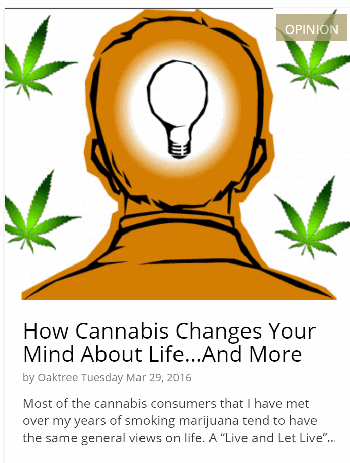 cannabis changes minds