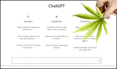 CANNABIS CHATGPT QUESTIONS