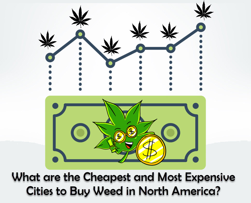 WEED PRICES ACROSS NORTH AMERICA