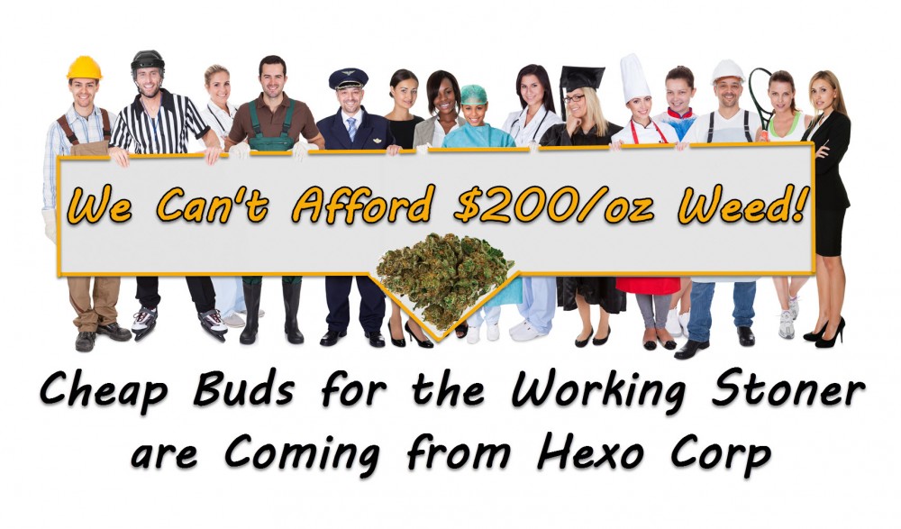 CHEAP MARIJUANA OPTIONS FROM HEXO