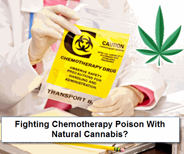 CHEMO AND CANNABIS 