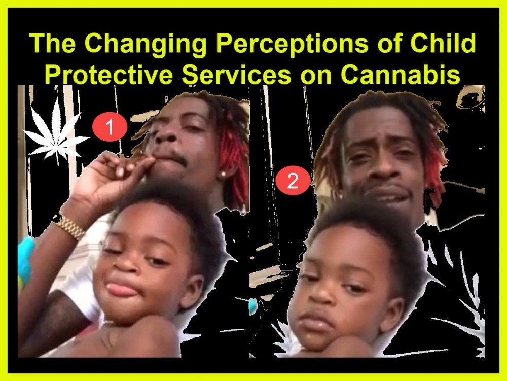 CANNABIS AND CPS DSS