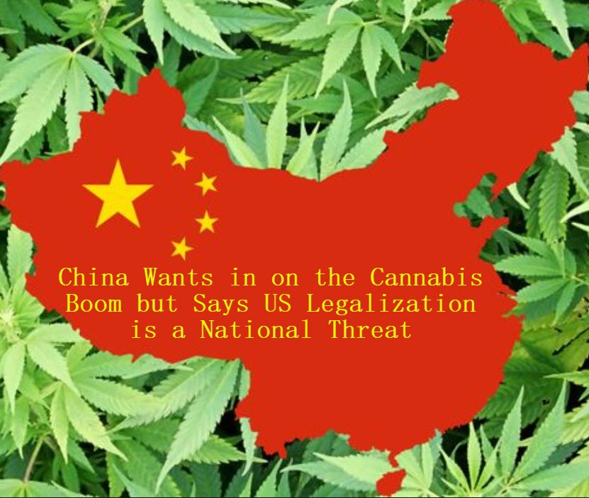 CHINESE HEMP CANNABIS