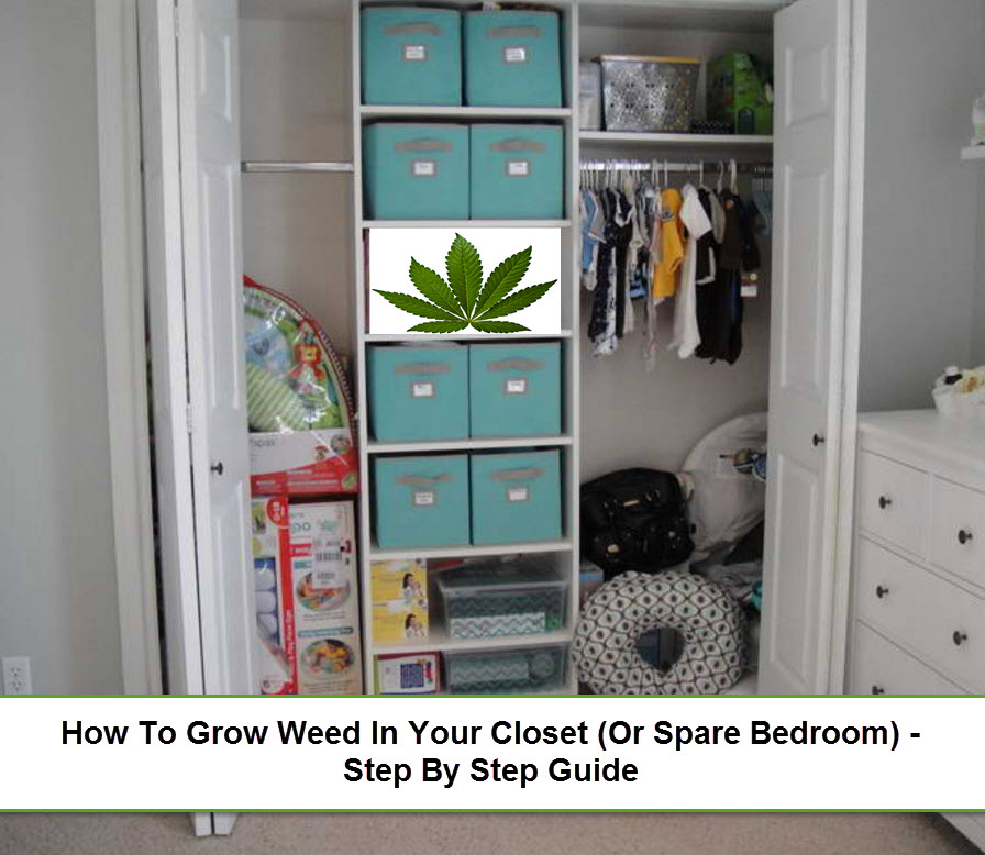 GROWING WEED IN A CLOSET GUIDE