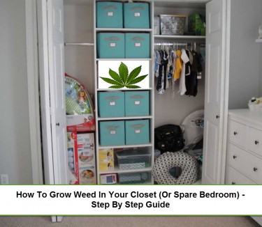 HOW TO START GROWING WEED IN YOUR CLOSET