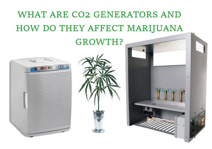 cannabis CO2 generators