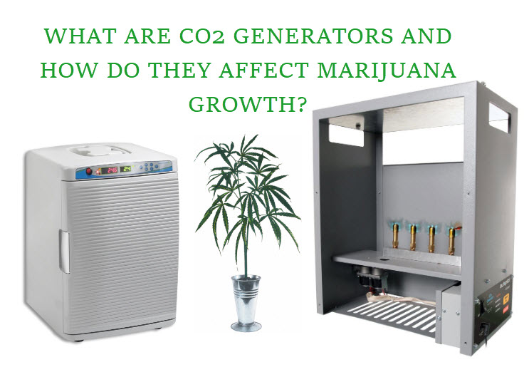 WHAT ARE CO2 GENERATORS FOR CANNABIS GROWS