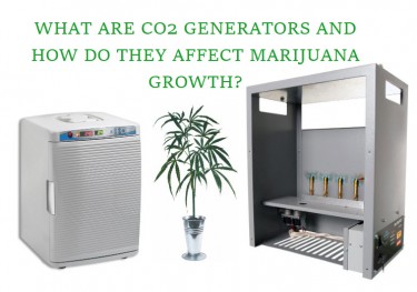 WHAT ARE CO2 GENERATORS FOR CANANBIS GROWING