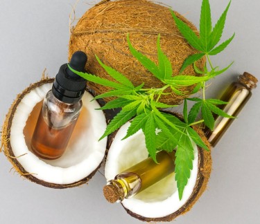 cannabis coconut oil infusions