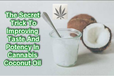 INCREASE POTENCY OF CANNABIS OIL