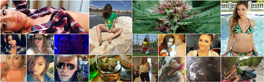 marijuana social network