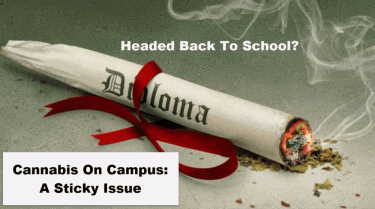 CANNABIS ON CAMPUS