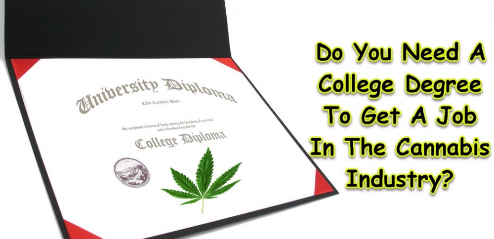 DO YOU NEED A COLLEGE DEGREE TO WORK IN CANNABIS