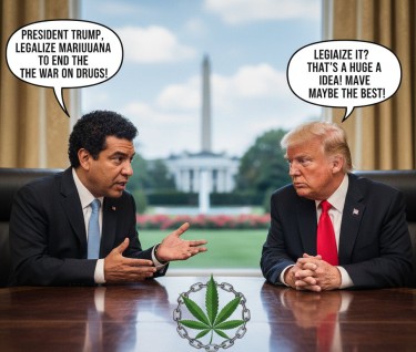 columbia tells trump to legalize marijuana