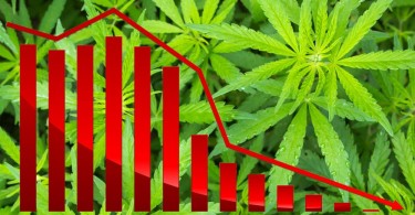 Colorado cannabis sales drops