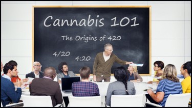 cannabis 101 community college education