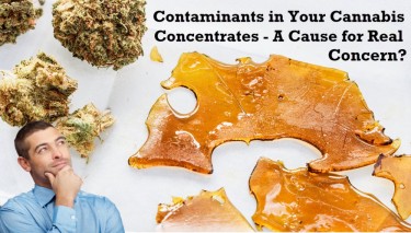 cannabis concentrates and contaminants