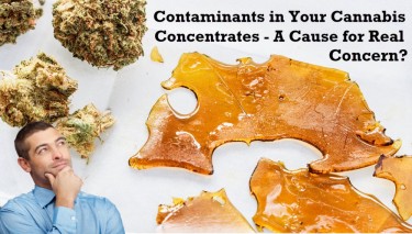 cannabis contaminants