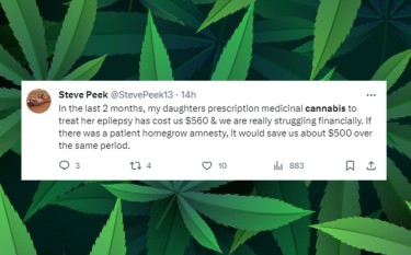 the painful cost of cannabis