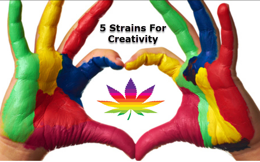 CREATIVE STRAINS 