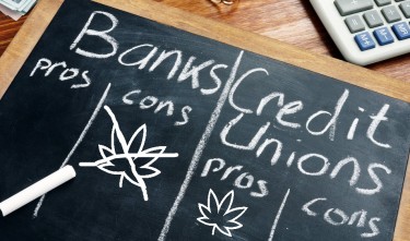 credit unions on weed