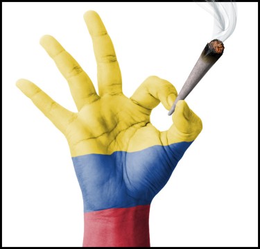 colombia creepy cannabis strain