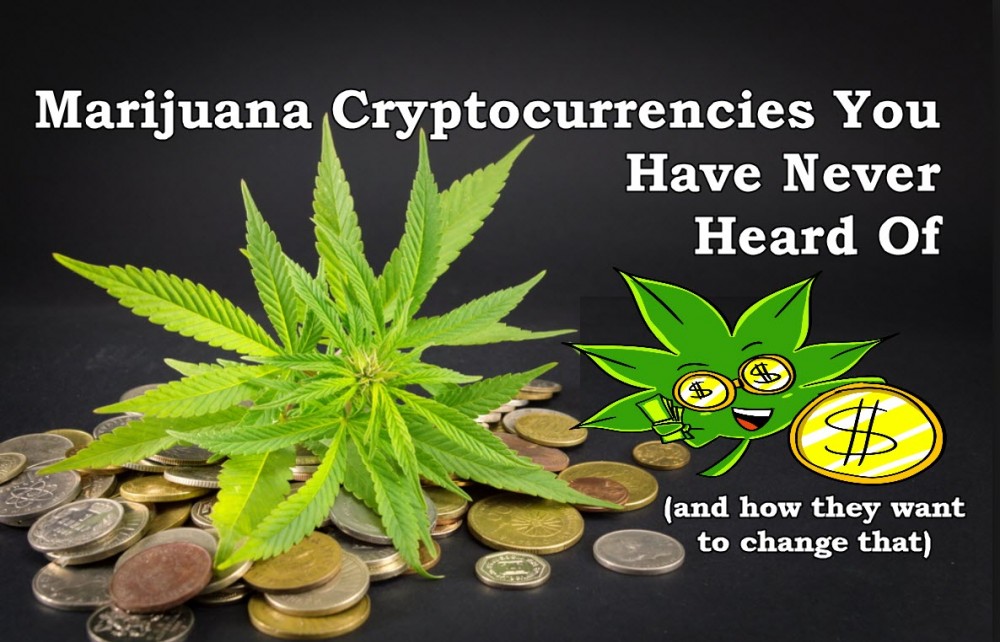 MARIJUANA CRYPTO CURRENCY