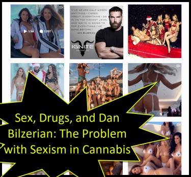 DAN BLIZERIAN IGNITE CANNABIS