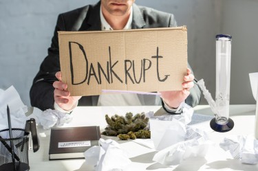 dankrupt cannabis business loses