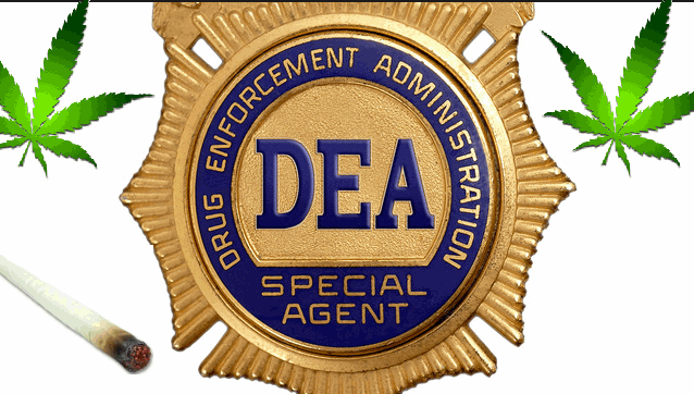 DEA MARIJUANA POLICY