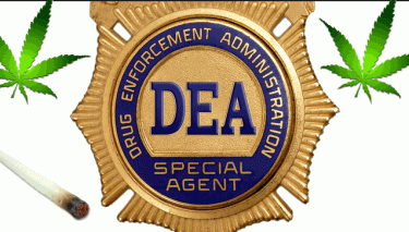 THE DEA IS CRUMBLING