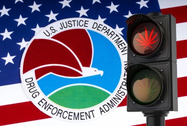 dea with Maltz on cannabis legalization