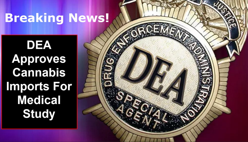 DEA AND CANNABIS PROHIBITION