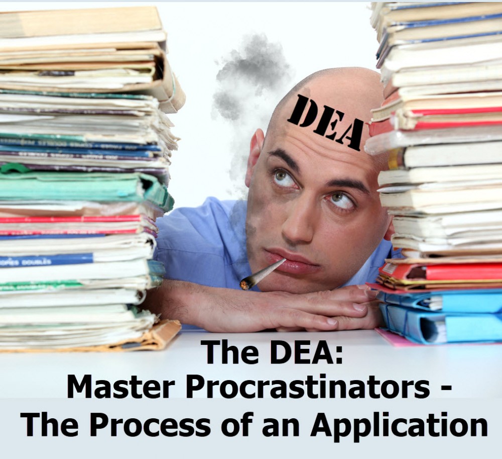 DEA PROCRASTINATES ON MARIJUANA LEGLIZATION