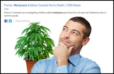 marijuana edibles killed by son