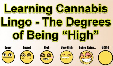 DEGREES OF BEING HIGH LANGUAGE