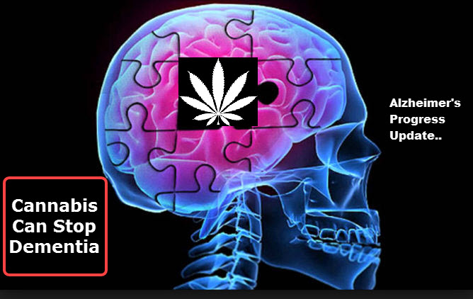 CANNABIS AND SLOWING DEMENTIA