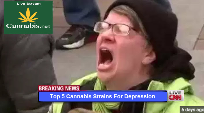 MARIJUANA STRAINS FOR DEPRESSION