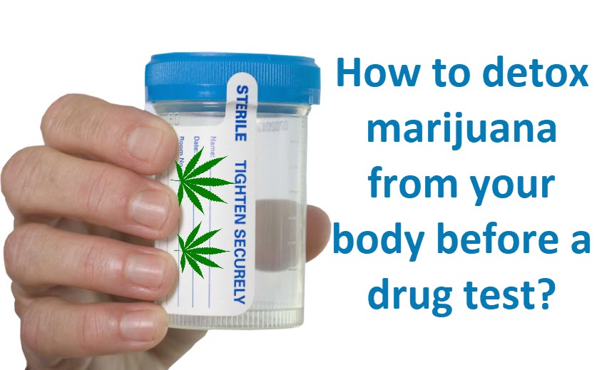 DETOX FROM MARIJUANA FOR A DRUG TEST