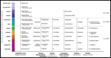 stoner developmental stages of the mind