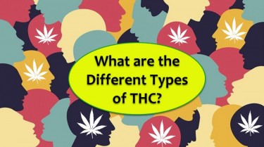 DIFFERENT TYPES OF THC