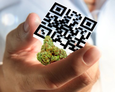 digital mmj cards