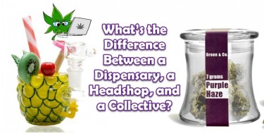 HEADSHOP DISPENSARY COLLECTIVE WHAT'S THE DIFFERENCE