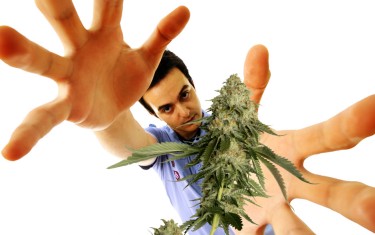 Marijuana Mystic: Can You Distort Reality to Never Run Out of Weed ...