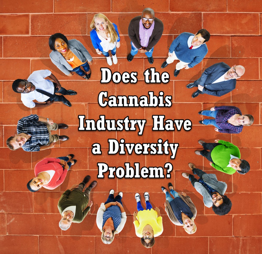 DIVERSITY IN THE CANNABIS INDUSTRY