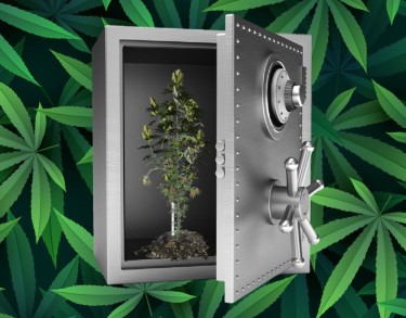 diy cannabis security systems