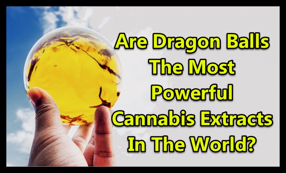 dragon balls cannabis