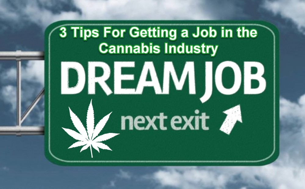 3 Tips For Getting A Job In The Cannabis Industry