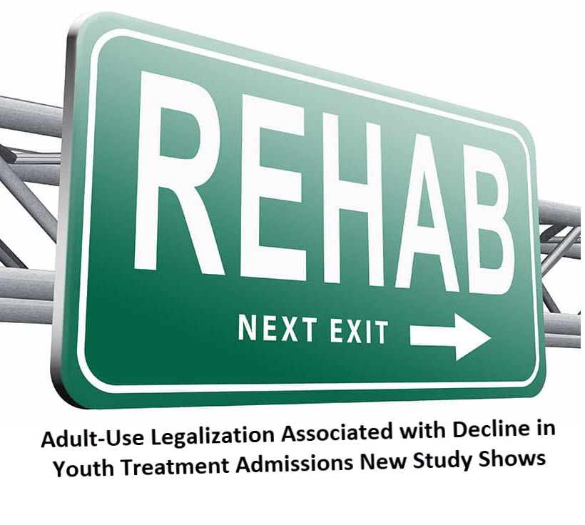 drug rehab legalization